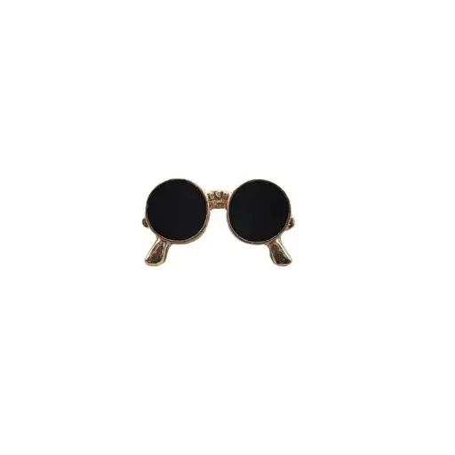 Glasses Pin