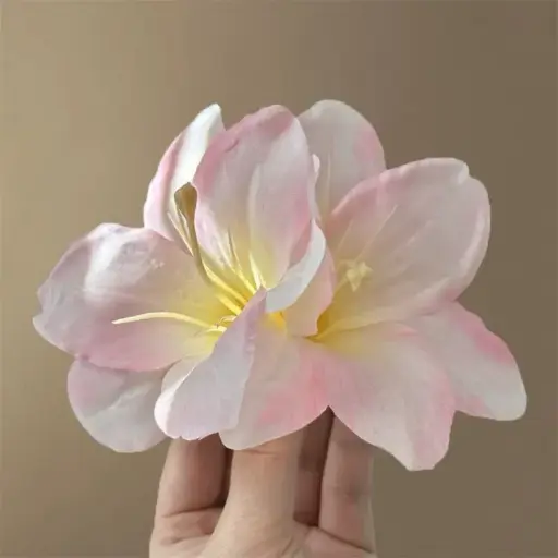 Lily Pink n White Hair Clip